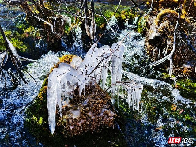 九寨沟的冬日浪漫：雪吻海子，阳光作画，太治愈了