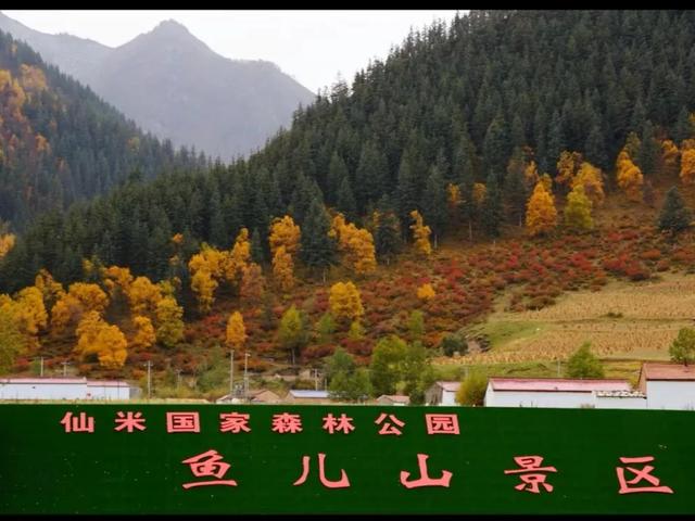 不只是路过!仙米收费站,让旅程从暖心开始!