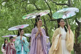 乐陵：千年枣林上演“唐风汉韵”图片