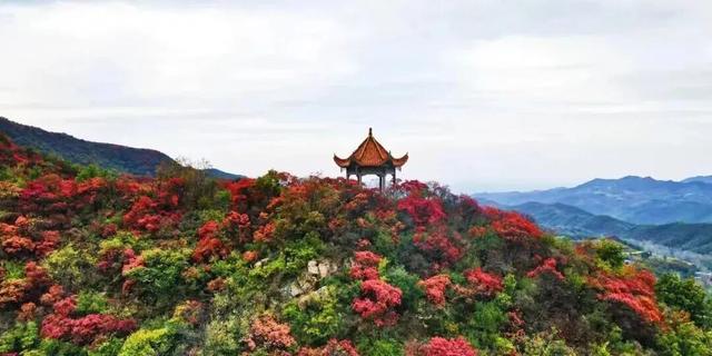 亮相央视！洛阳这些赏秋地，太美！