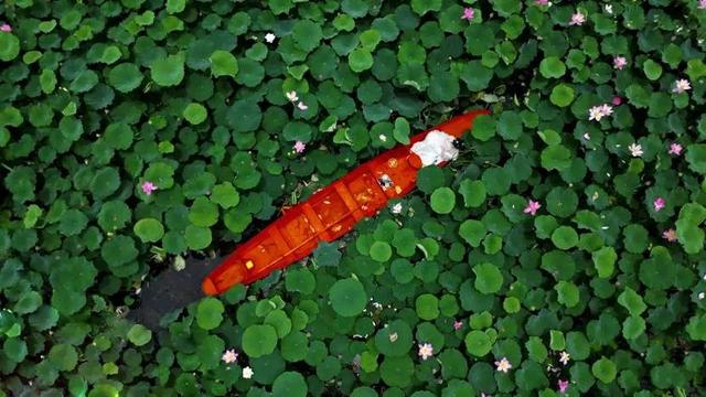 拥抱一段“夏凉菌香”的美好旅程