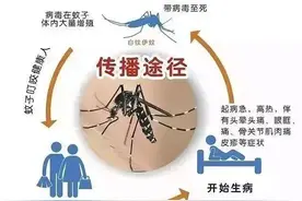 医声丨中国医大说科普——夏日梅雨季节：蚊子咬伤了咋办？图片