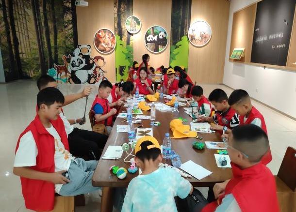 破茧成蝶 守护生态之美：自然教育科普活动在白河保护区圆满落幕