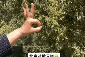 花粉似扬沙？“隔着屏幕都想打喷嚏！”一夜几百人进急诊，医生紧急提醒→图片