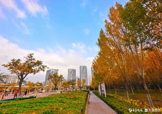 沂河岸边秋景美，抬眸尽是好风光