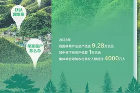 一张林权证，见证一场惠及1亿多农户的改革图片