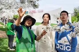 辰山植物园“共赴春日之约”樱花主题系列科普活动即将上线图片