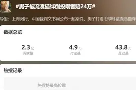 流浪猫闯大祸，投喂人赔24万，为“爱”买单合法合理图片