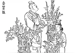 “会稽愚妇”的千古污名图片