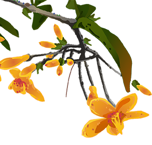 “乐游无锡”新功能上线！