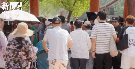上海迪士尼,乐高乐园,东方明珠,豫园…纷纷加入↗游客惊呼"太实惠"！