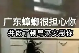 蟑螂怎么彻底消灭？2招教你解决它！图片