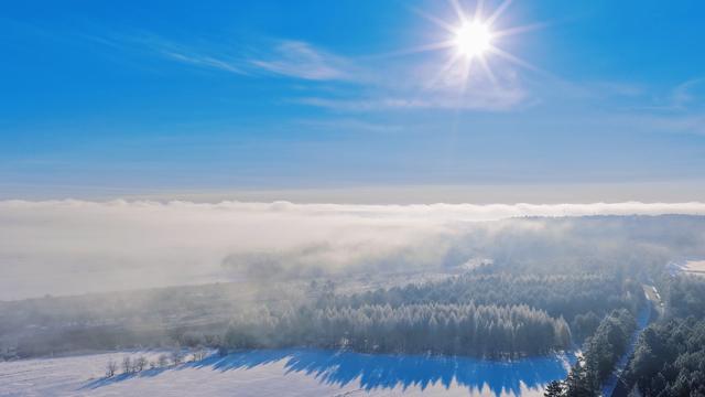 黑河市爱辉区：林海雾凇入画来