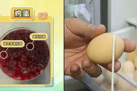 别让冰箱成为“细菌培养皿” 这份使用指南请收好图片