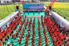 湖南洞口万亩油菜花海绽放，乡村振兴绘就新画卷图片