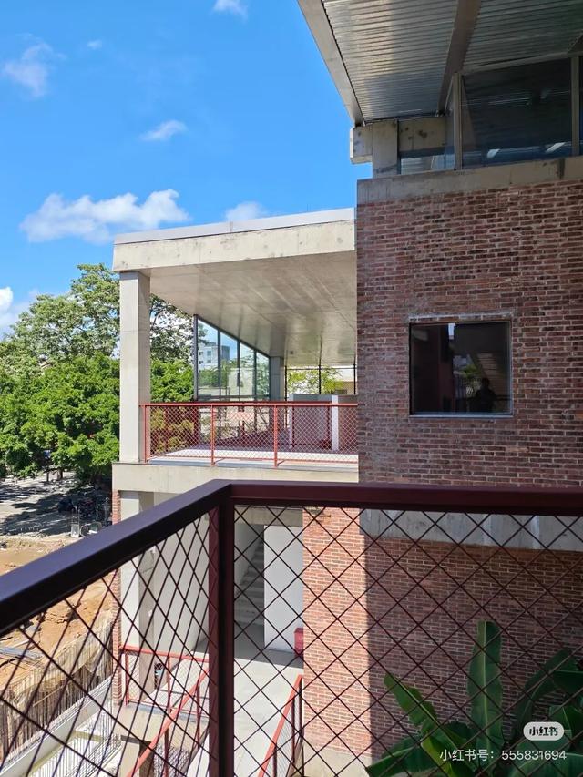 花海走起！湛江秋日限定打卡点！