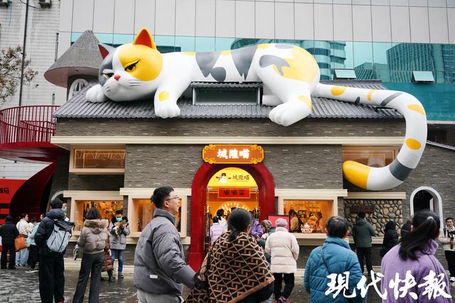 读城｜大“喵”弄！常州千年城隍巷成了“喵星人乐园”