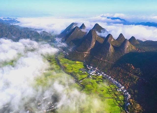 贵州冬韵：梅香入骨，花海先春