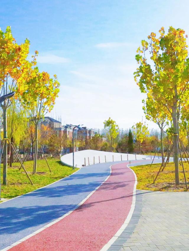 邂逅初冬，大兴6条宝藏慢跑路线请收好