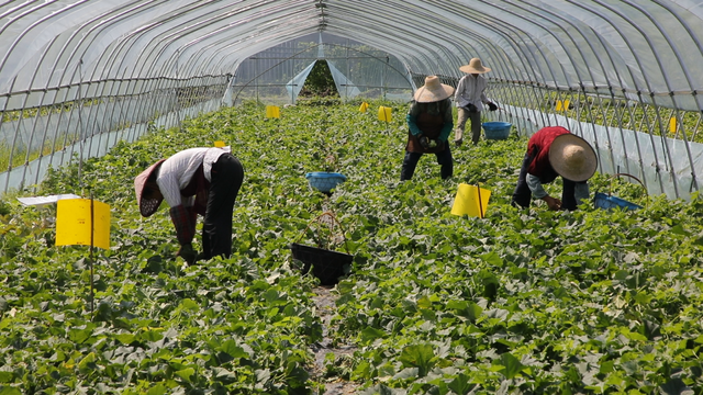 何须远行？亭林就藏着一条宝藏路线…