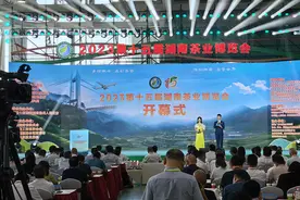 白沙溪即将亮相2024第十六届湖南茶业博览会图片