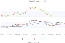 涪陵电力：2024年上半年净利润1.96亿元 同比下降24.2%图片