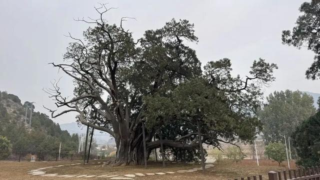 快来打卡！北京密云的绝美秋景藏不住了