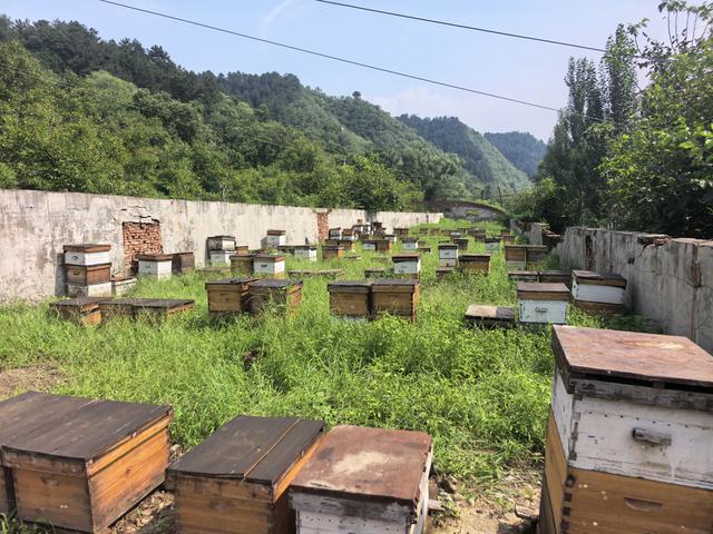 村民爱戴的“二华”书记，离开了……