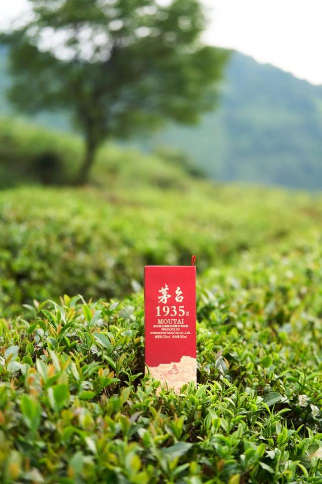 雅安，必经之地