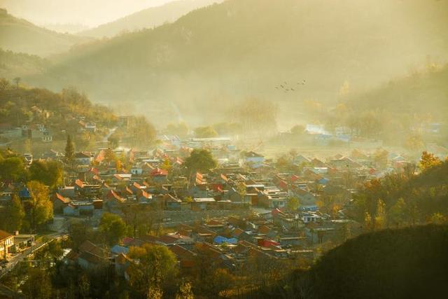 追光行动丨文旅年卡免费送！速速来集合