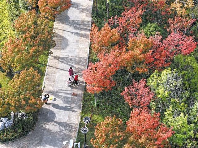 色彩斑斓 秋景如画