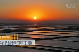 河北曹妃甸：“百里盐池”迎丰收图片