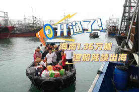 2024伏季休渔期 海南海警查获涉案渔获物20.9万公斤图片