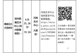 《水月洛神》《杜甫·大河之子》……郑州市多台惠民精品剧目“上新”图片