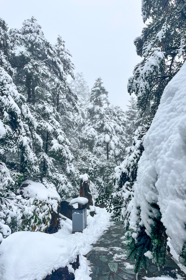 秋日雪景 | 雪后的螺髻山到底有多美？快来看！