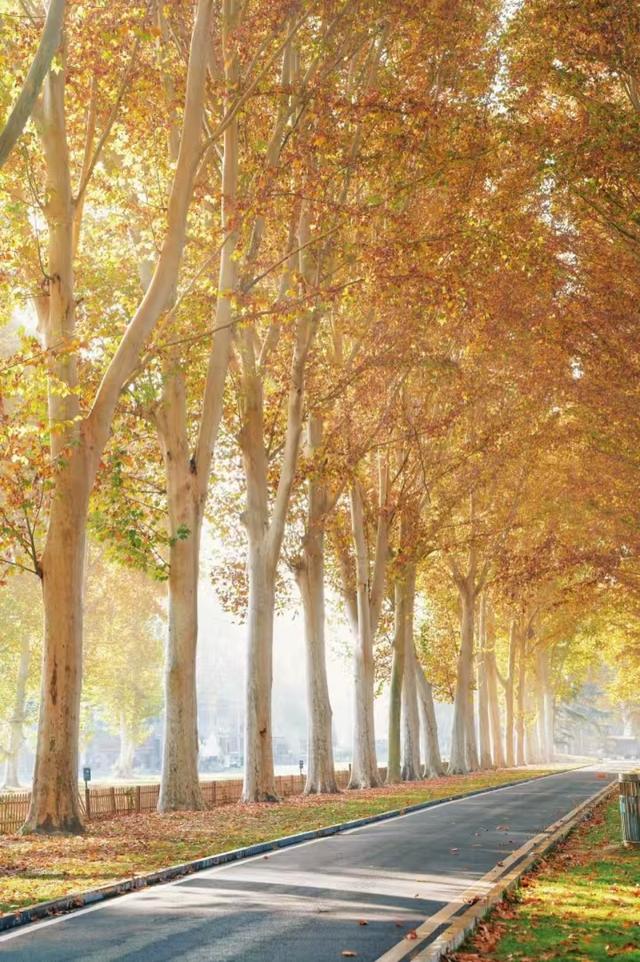 郑州人私藏的8个赏秋胜地！