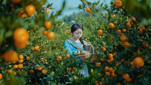 组个“橘” “宜”起“都”来解锁新乐趣→