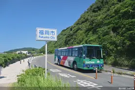 “五一”跨境游“双向奔赴”：出境小众免签国成新宠，入境订单激增130%图片