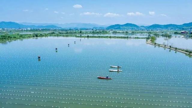 跟着浙BA游诸暨，一起山水探秋、珍珠淘货、古村逛吃