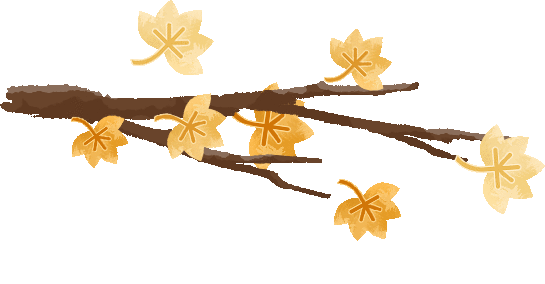 阳明湖最新“枫”情预告