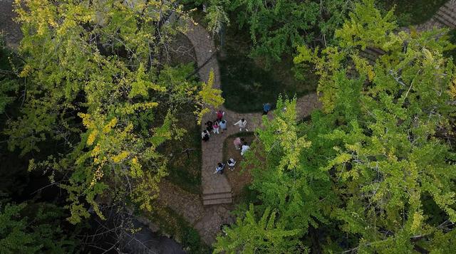 “双节”假期：妥乐景区人气旺 研学休闲两相宜