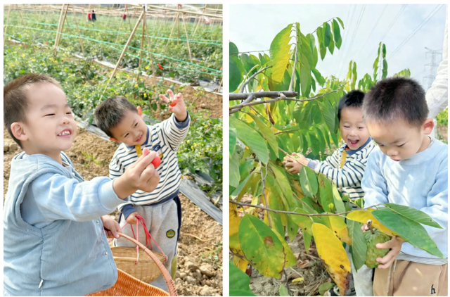 报名开启！来滨海湾这个公园，把一篮“新鲜”摘回家！