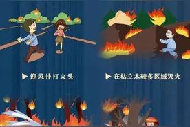 如遇山火应顺风还是逆风逃生？这些知识要掌握图片