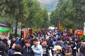 “上春山”解锁新玩法！千佛山“三月三”庙会开幕 | “泉”在济南过五一图片