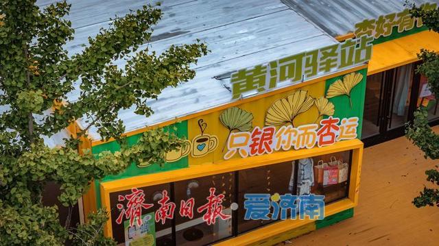 一年四季 泉在济南丨济南百里黄河公路生态廊道：生态与人文交融的打卡胜地