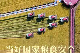 当好国家粮食安全“压舱石”——“北大仓”的丰收密码图片