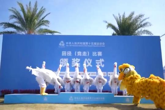 追光丨来，找一找全运会上的传统文化元素