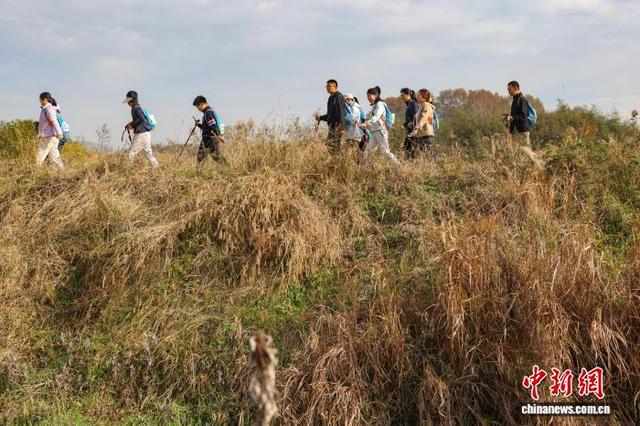 三千徒步爱好者走进南京江宁“山野拾秋”