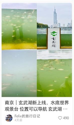传疯了！玄武湖“大鱼缸”来了
