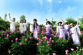 南漳：芍药花开美乡村图片